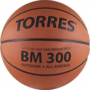   Torres BM300 